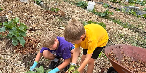 Gardening for Good: Green Power Garden