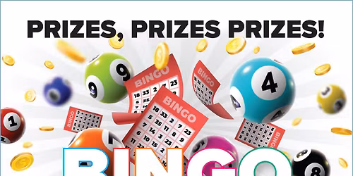 Moab Senior Alliance 2025 BINGO & BRUNCH