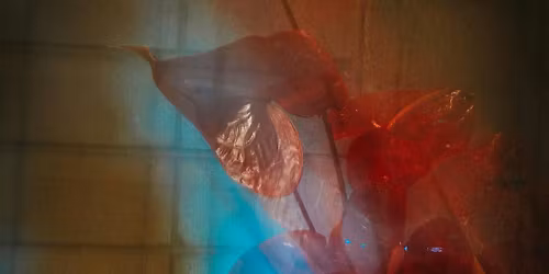 MOTHER'S DAY - BOX | BLOOM | BATHE