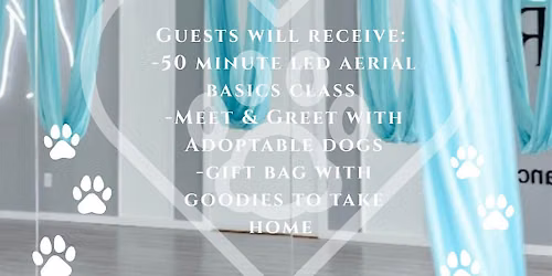 Aerial for Adoption