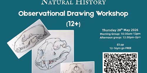 Observational Drawing Workshop (age 12+)