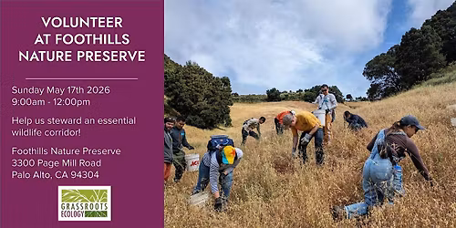 Volunteer Outdoors in Palo Alto at Foothills Nature Preserve