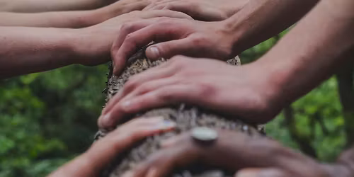 Stay and play. Christmas style \ud83c\udf84