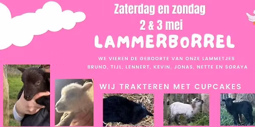 Lammerborrel