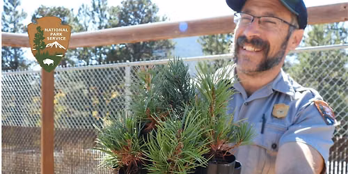 Glacier Basin Campground Tree Planting Volunteer Event