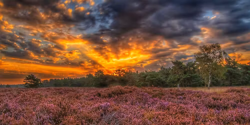 The Cortisol Cleanse Sound Bath at The Woods Yoga