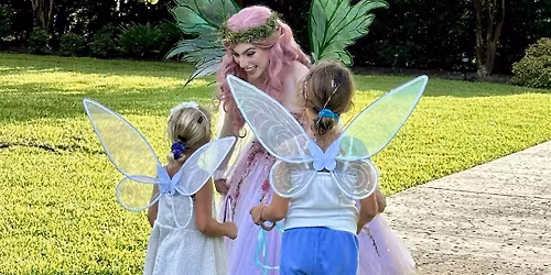 Fairy Night