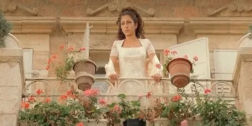 Insurgent Transmissions: Rana's Wedding
