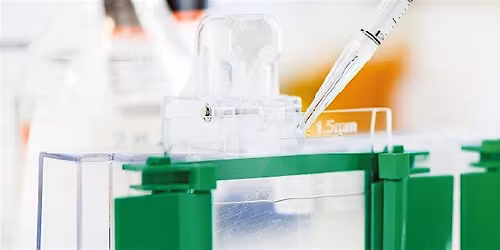 Western Blot Workshop: Accelerate your workflows!