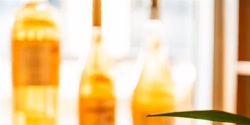 Wine 1-0-1: Blind Wine Tasting