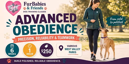Advanced Obedeince Dog Training Class - 6 Weeks- 1 Hour - $250 - 9\/19\/26 - 12:00pm