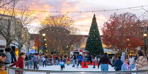 Annual Tree Lighting and Ice Rink Opening Day!