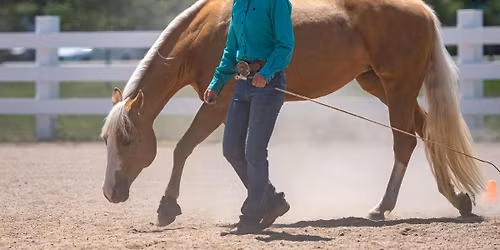 Building a Better Relationship with your horse Clinic