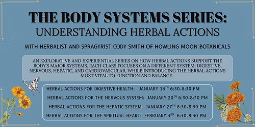 The Body Systems: Understanding Herbal Actions For the Spiritual Heart