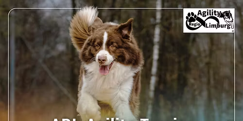 ARL Agility Turnier