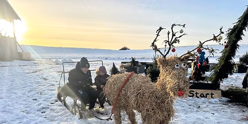 Julemarked på NorGro 🌱