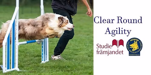 Agility clearround\/Bl\u00e5b\u00e4rst\u00e4vling
