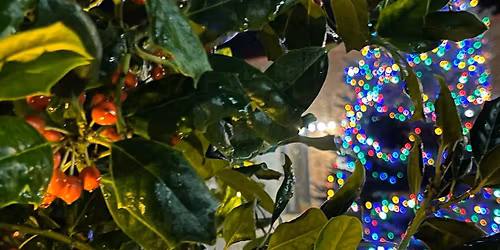 Christmas and New Year Opening Hours