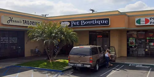 Lakewood - Dog dental cleaning