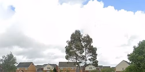 Have fun with team TLM 