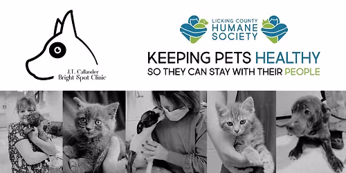 Licking County Humane Society's Bright Spot Clinic | Buckeye Lake