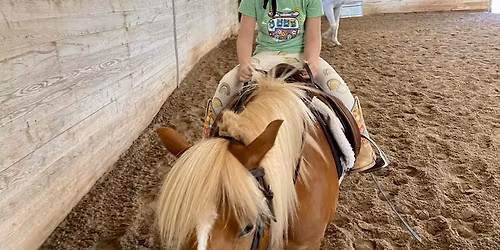 Camp Cadence -  Summer Horse Camp Session I