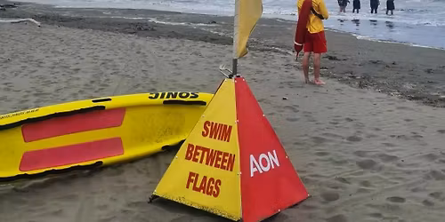 SGM - to adopt new constitution