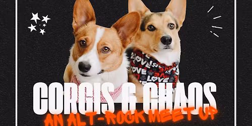 Corgis & Chaos