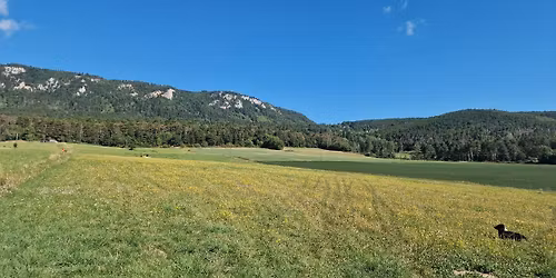 Int. Hohe Wand-Trial 2025 Klasse 3