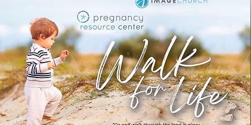 Walk for Life at Dana Point Harbor