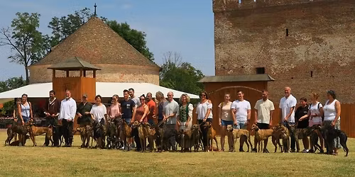 Gyulai V\u00e9gv\u00e1ri Napok Agarasai