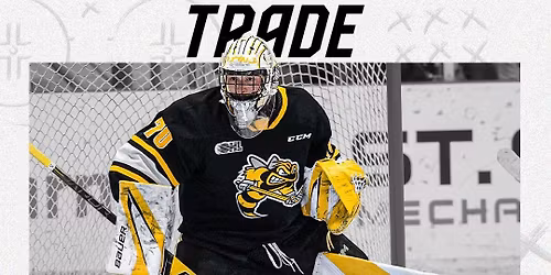 Sarnia Sting vs. Saginaw Spirit