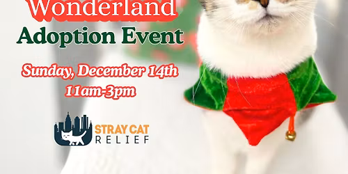 \ud83c\udf84Whiskers in Wonderland Adoption Event