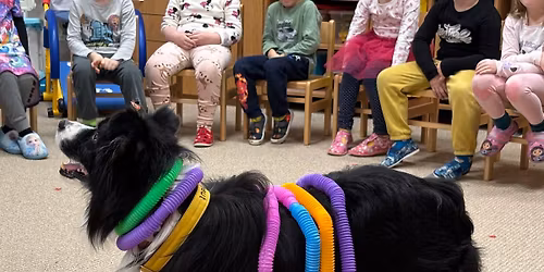 Canisterapeutick\u00e9 zkou\u0161ky Amicus Canis, z.s.