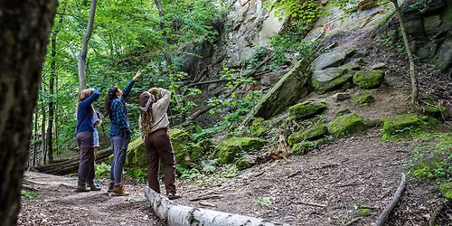 The Urban Nature Adventure Tour