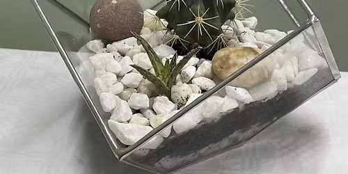 Glass Terrarium Planter Workshop