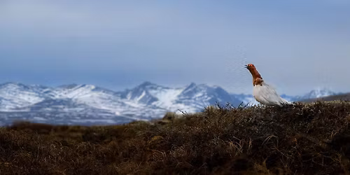 Rock Done Right Tour Stop