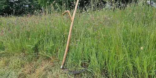 Scything in the Community Orchard
