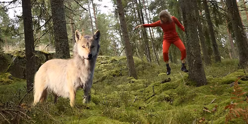 H\u00e4nti\u00e4 ja h\u00e4nt\u00e4luita \/ Tails and Tailbones