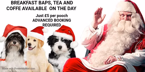 Santa Paws