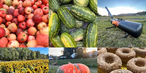 Pumpkin Festival weekend 1 of 3!