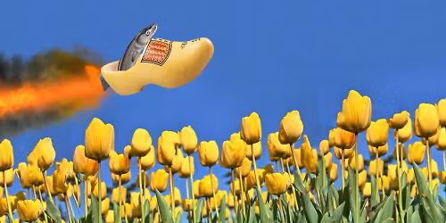 gladde paling in Leeuwarden