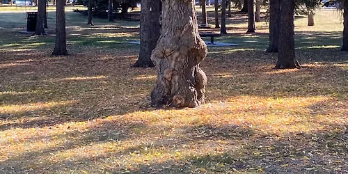 Outdoors 2026. Borden Park