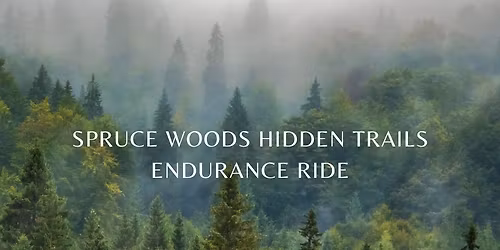 Spruce Woods Hidden Trails Endurance Ride