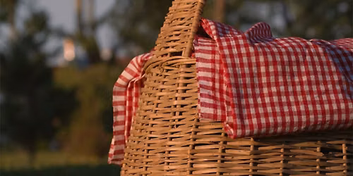 Picnic & Fun Day