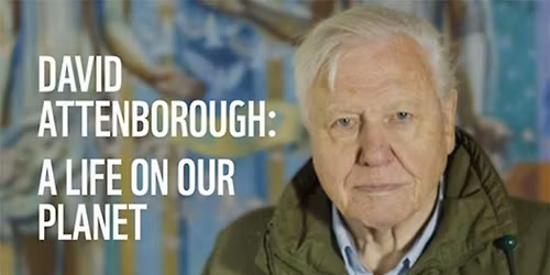 The Little Green Cinema - David Attenborough's 'A Life on our Planet'