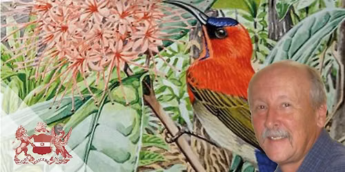 An Evening with the Sunbirds of the World