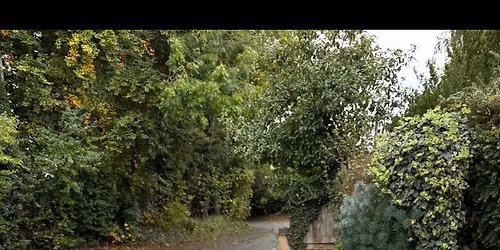 Halloween Spooktacular