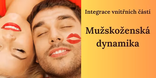 Mu\u017esko\u017eensk\u00e1 dynamika (Integrace vnit\u0159n\u00edch \u010d\u00e1st\u00ed)