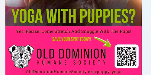 Yoga Pawty - August 28